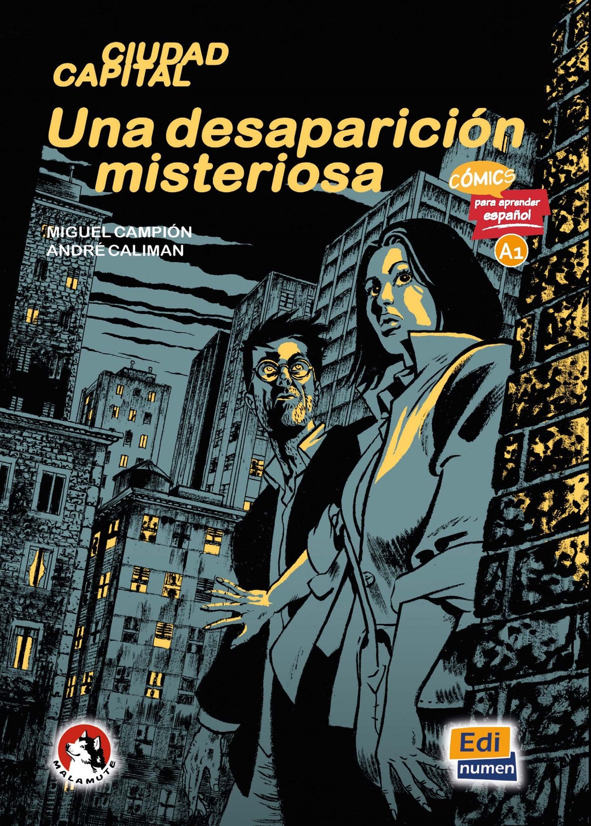 Una desaparición misteriosa – forside